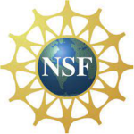 nsf logo