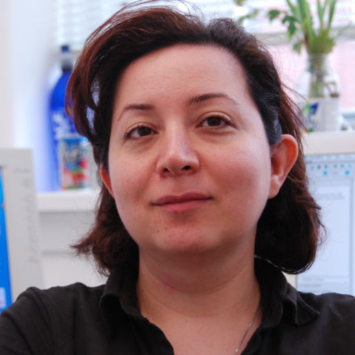 Dr. Neda Naseri