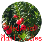 Medicinal Plant Studies