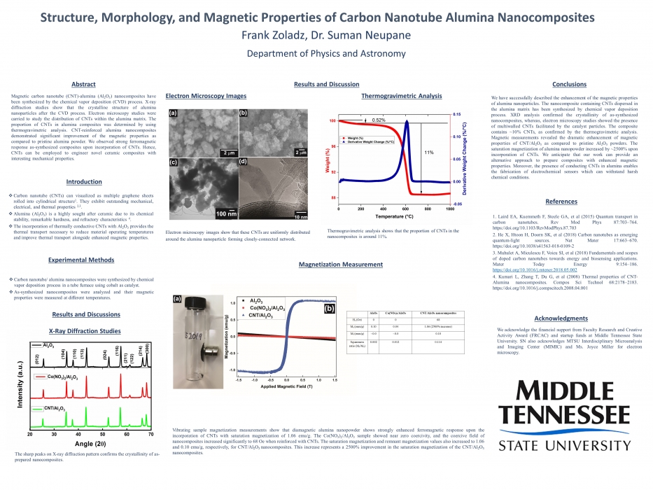 Structure, Morphology, and Magnetic Properties of Carbon Nanotube Alumina Nanocomposites