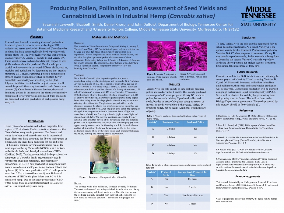 Producing Pollen, Pollination, and Assessment of Seed Yields and Cannabinoid Levels in Industrual Hemp (Cannabis sativa)