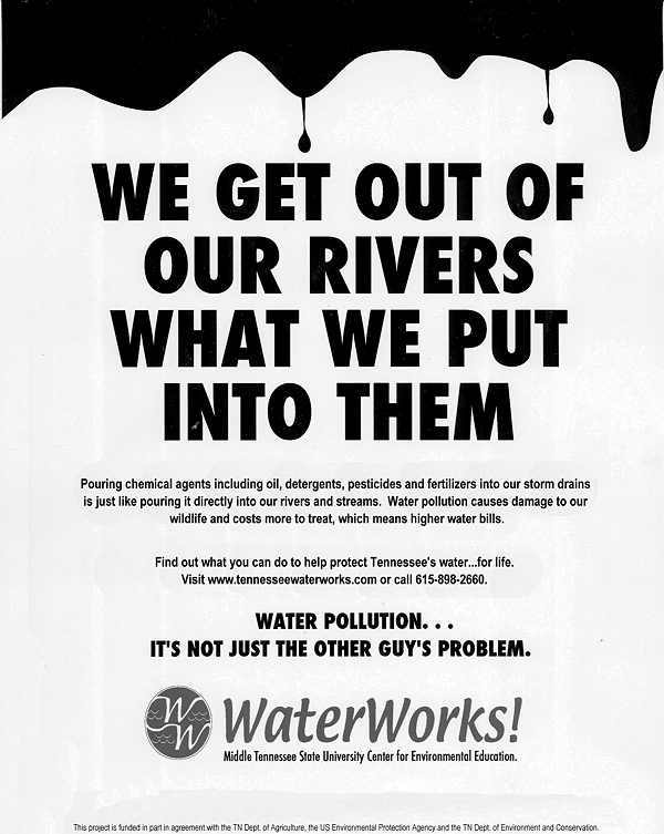 Water Pollution Flyer